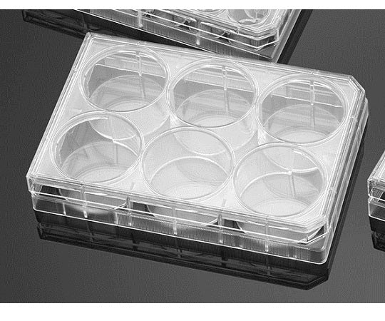 Non-treatment plate, 6 wells, flat bottom, with lid, 1 case (1 piece x 50 packs) 351146 1 case (1 piece x 50 packs)