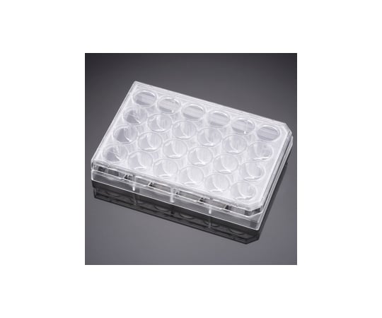 Cell Culture Insert Companion Plate 24 Well with Lid 1 Case (1 pc x 50 packs) 353504 1 Case (1 pc x 50 packs)