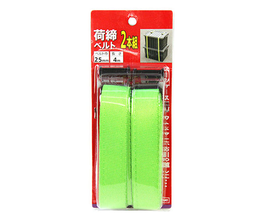 E-Value 캠버클식 하체 벨트 4m 2개 세트 BT-254(LG) 2pcs 1팩(2개입)