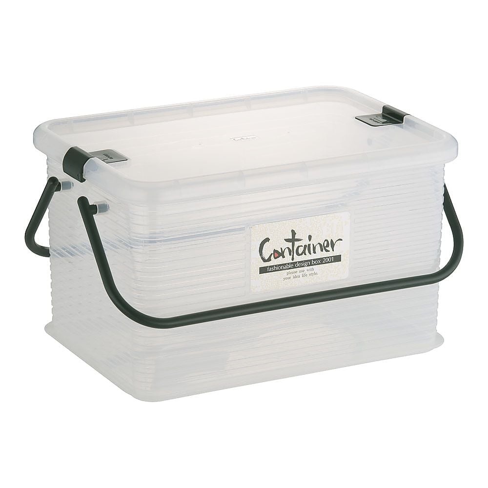 Container Clear L 1pc