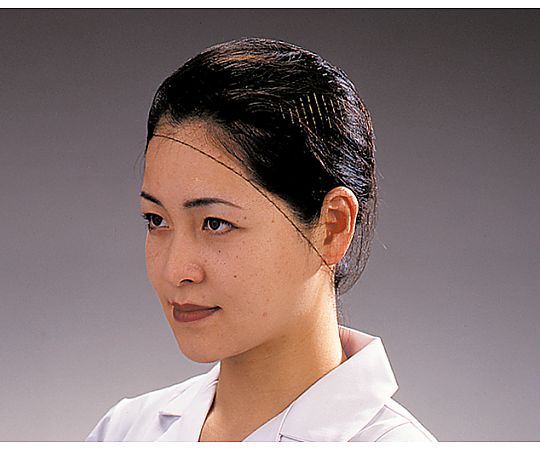 パル ヘアーネット 100枚入 Mサイズ T20663 1ケース(100枚入)