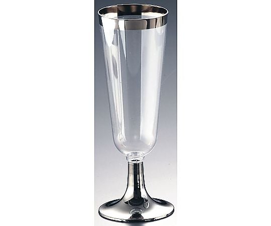 프라실버 샴페인(6개입) C-022 1케이스(6개입)