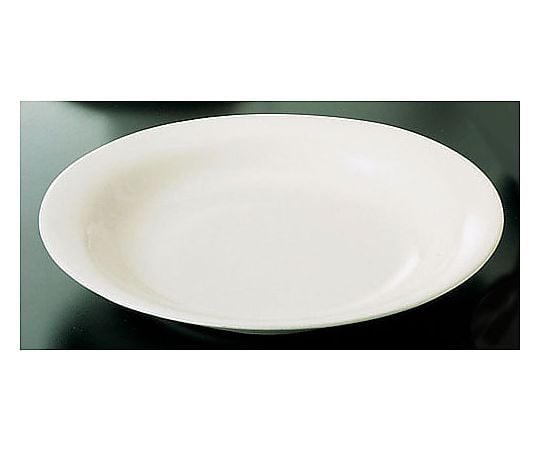 Brightone BR700 (White) Branch Plate 25cm RBL12 1 piece