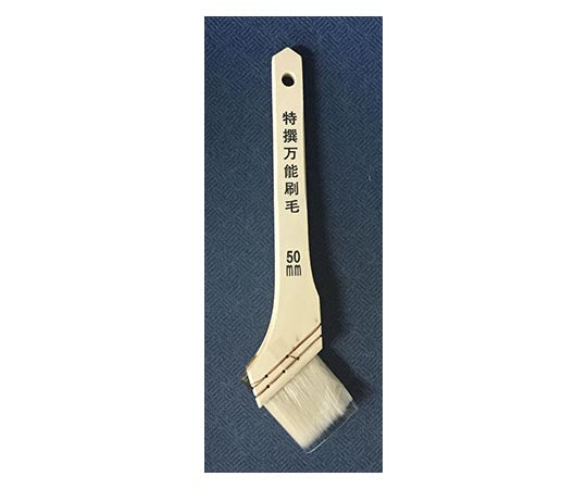 Specially selected all-purpose brush 50mm 12791 1 piece