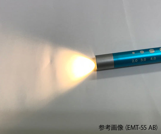ソフトLEDペンライト EMT-55 VP 1個/箱
