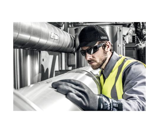 二眼型保護メガネ ポーラビジョン9231(偏光レンズ) 9231960 1個