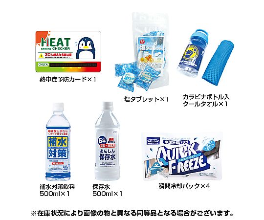 열중 대책 키트 BR-510 1개