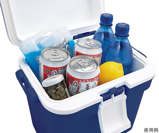 Cooler Box Forest Crew Dark Blue #10 1pc