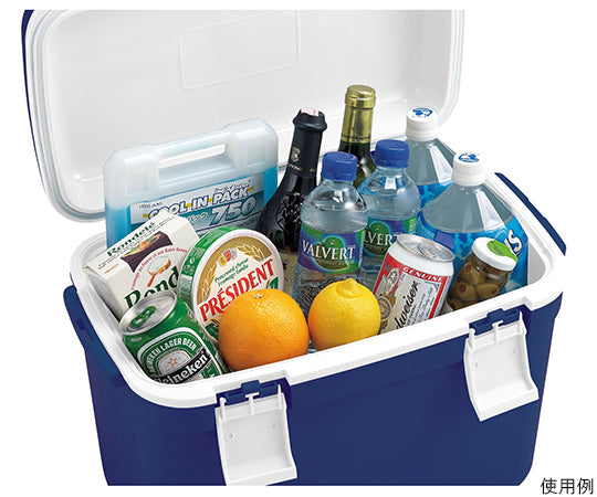 Cooler Box Forest Crew Dark Blue #25 1pc