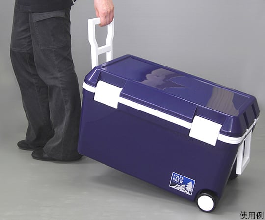 Cooler Box Forest Crew Dark Blue #45 1pc