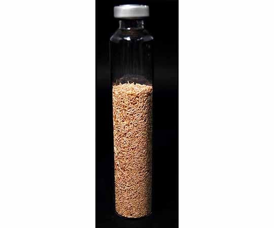 Reduced copper wire 0.5×4mm #B1015 1 piece