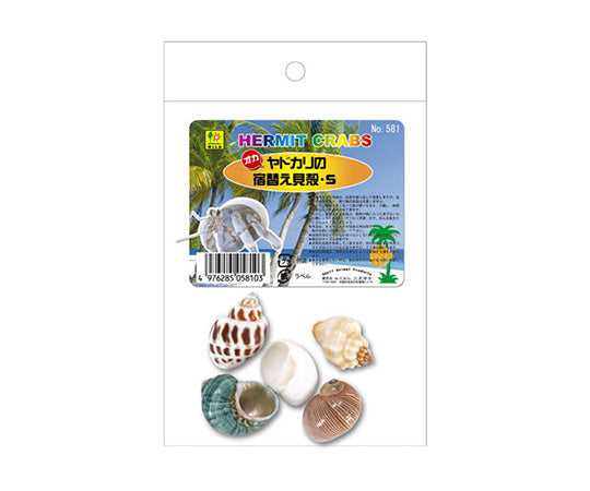 Hermit crab's shell for changing habitat S 581 1 bag