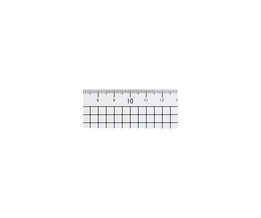 Recycled PET straight ruler 30cm B333J 1 piece