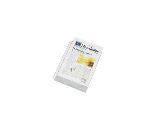 Clear pockets, no inner paper, 2 holes, 100 sheets, D077J, 1 pack (100 sheets)
