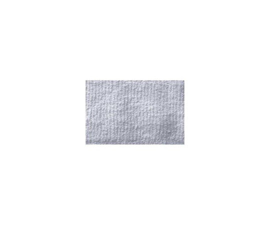 Cleaning cloth 10 sheets N043J 1 pack (10 sheets)