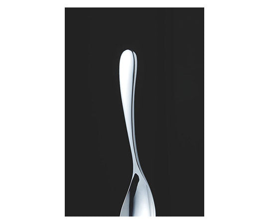 18-8 Home Festa Ice/Yogurt Spoon 261206 1 piece
