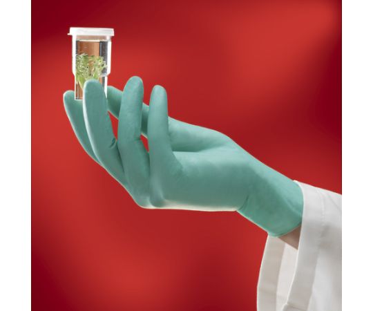 Chemical-resistant neoprene rubber disposable gloves NeoTouch 25-101 L size (100 pieces) 25-101-9 1 box (100 pieces)