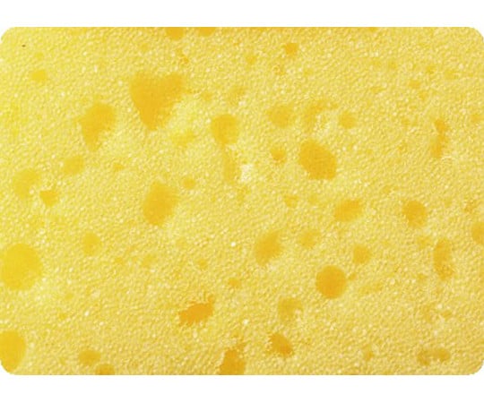 Water absorption sponge 15032 1 piece