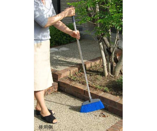 컬러 호크 블루 21531 1개