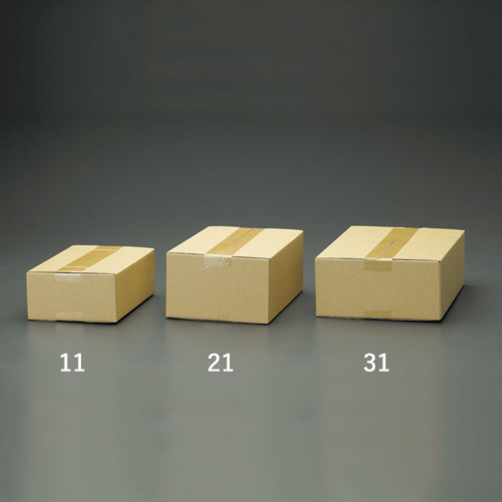 240x160x 80mm/A5 Cardboard (Plain/20 sheets) EA995BS-11 1 set (20 sheets)