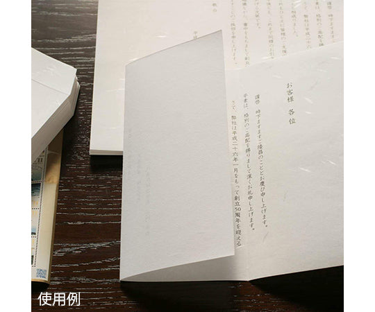 厚口 大直礼状紙 A4 100枚入 205003004 1パック(100枚入)