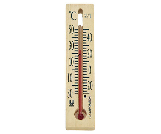 Thermo 106 Thermometer P6 1 piece