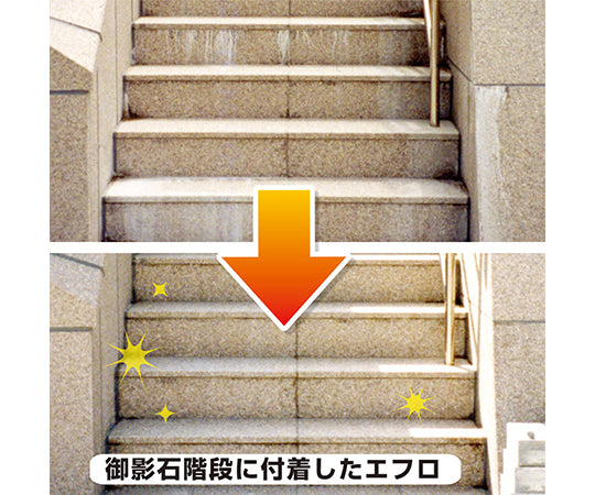 復活洗浄剤 エフロ用 100mL 17660062100 1個