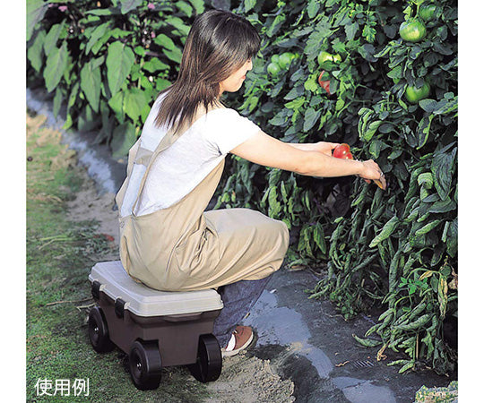 Botanical Style Field Cart (with Tray) 51 x 30.5 x 28.5 cm MA-2221 1 piece