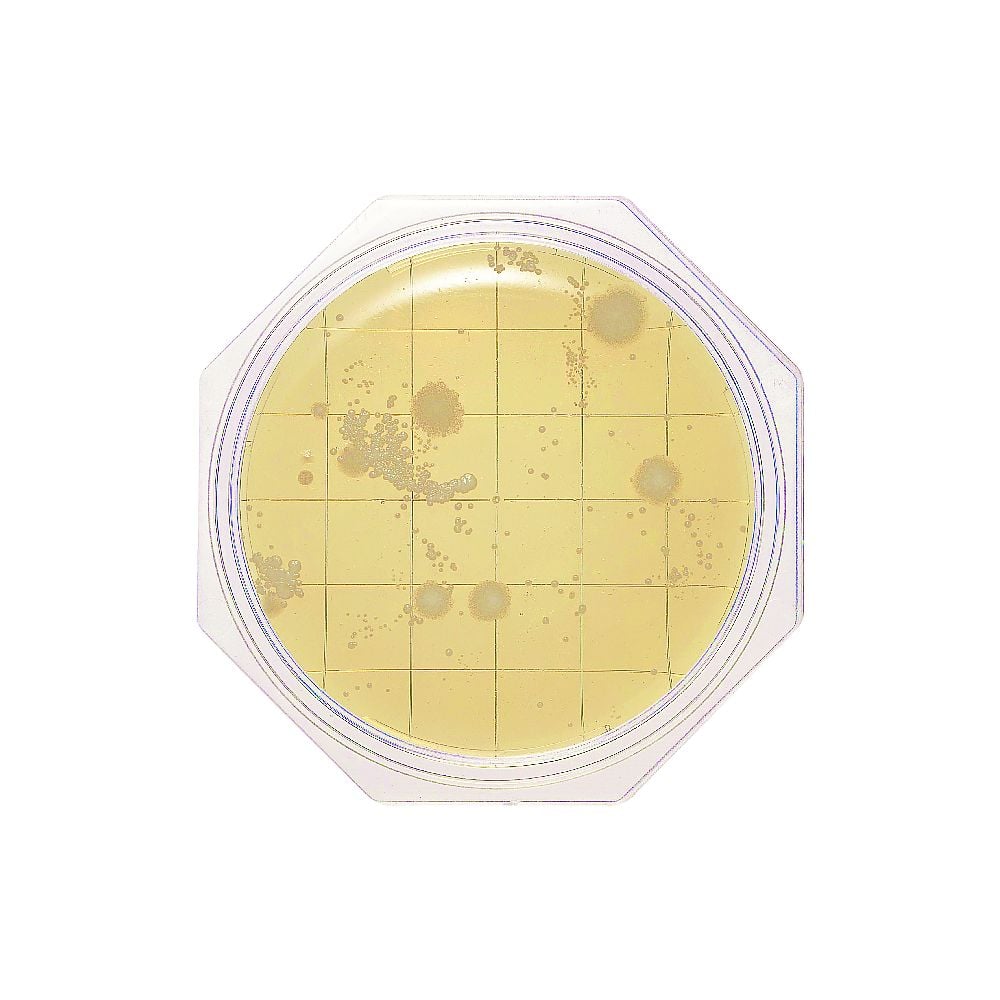 Clean Stamp 25 SCD Agar (for general viable bacteria count measurement) 30 sheets 06791 1 box (3 sheets x 10 bags)