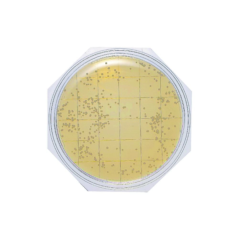 Clean Stamp 25 SCDLP Agar (for general viable bacteria count measurement) 30 sheets 06793 1 box (3 sheets x 10 bags)