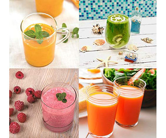 ジューサー FJM-601 1個