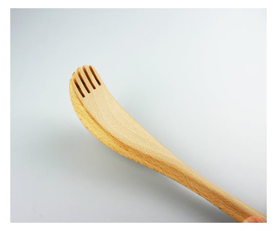 너도밤 나무 손자 작은 V-005 1 개