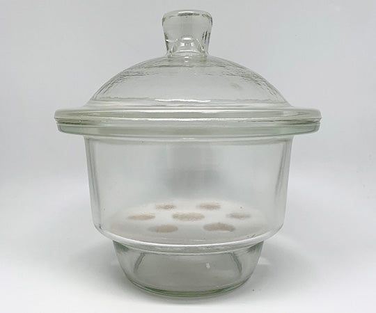 乾燥ガラス器 100型 30-010149-F 1個