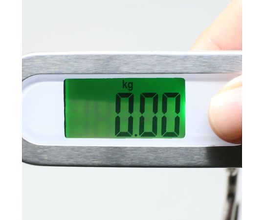 SUNDRY Hanging Digital Scale 86197 1pc