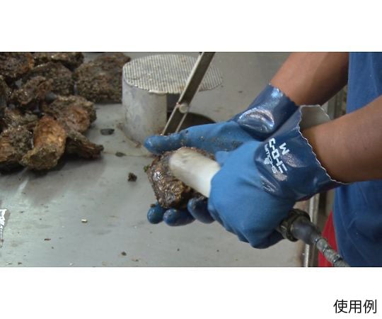 Nitrobe L 750-L 1 pair