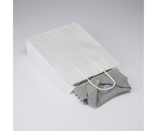 手提げ紙袋 25チャームバッグ MS1 晒白無地 50枚 003276011 1パック(50枚入)