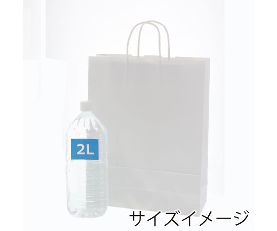 수제 종이 봉투 25 매력 가방 2 세 표백 무지 50 장 003235801 1 팩 (50 장 입)