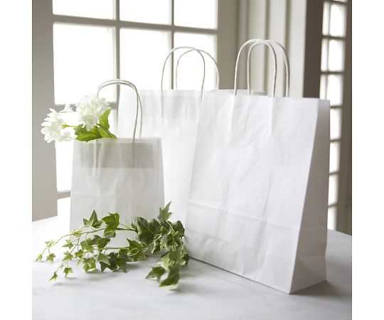 手提げ紙袋 25チャームバッグ カスタム判 晒白無地 50枚 003280411 1パック(50枚入)