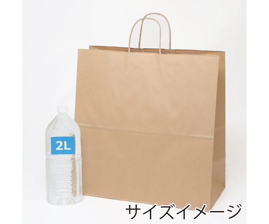 手提げ紙袋 25チャームバッグ 45-1 未晒無地 50枚 003296000 1パック(50枚入)
