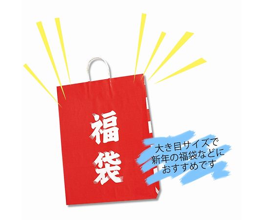 手提げ紙袋 25チャームバッグ カスタム判 福袋 50枚 003280310 1パック(50枚入)