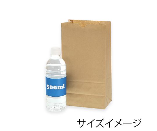 角底袋 No.6 未晒無地 100枚 004010600 1パック(100枚入)