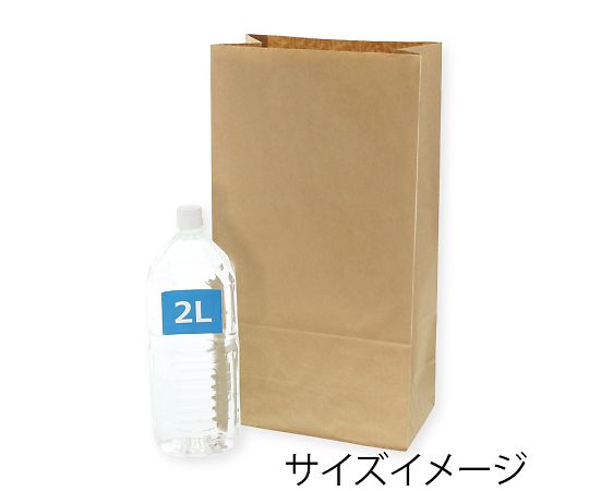 角底袋 LL 未晒無地 100枚 004012600 1パック(100枚入)