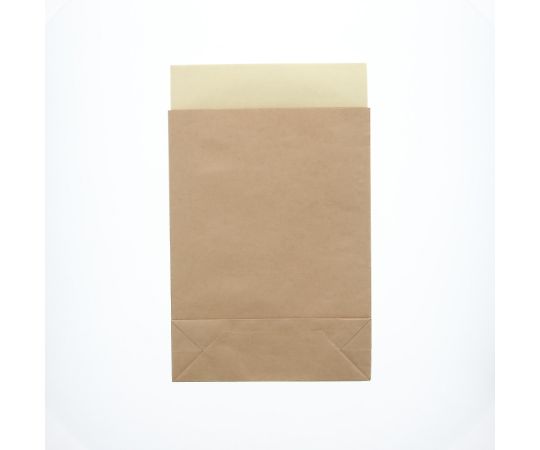 Delivery Bags SS Unbleached Plain 25 pieces 004192395 1 pack (25 pieces)