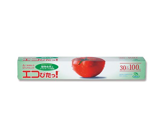 다이어랩 에코 딱! 30cm×100m 플라스틱 블레이드 004358250 1개