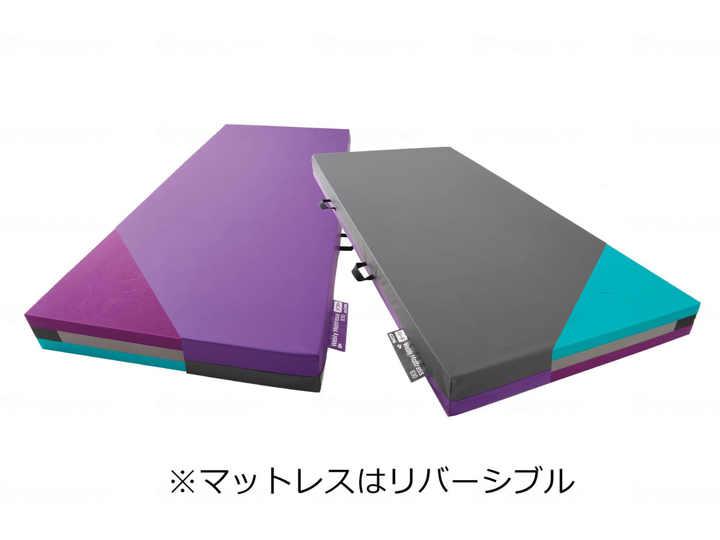 Cape Waverly Mattress 830/SHORT