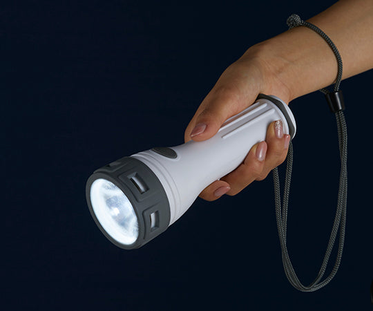 LED rainproof light AHL-2204 1pc