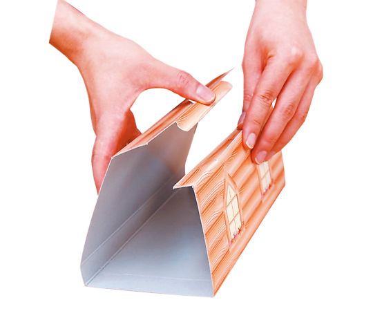 TAKAGI粘着ねずみとりシートハウス型5枚入 2073508 1個