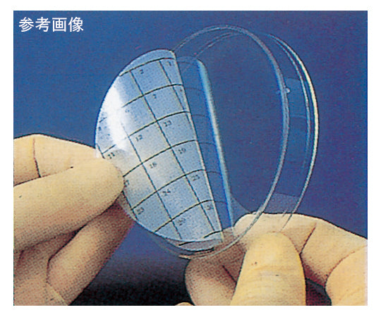 Petri Stickers Square 50 Fractions 1pc (36pcs) PSTK-1050 1pc (36pcs)