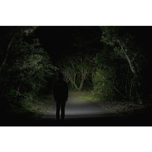 GENTOS LEDヘッドライト CPシリーズ 充電式アウトドア用 ウィンターグレー 360RWG CP-360RWG 1 台