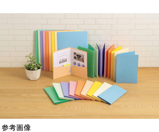 カラーPホルダー カラーポケットホルダー(紙製) PH-52C(G) 1冊